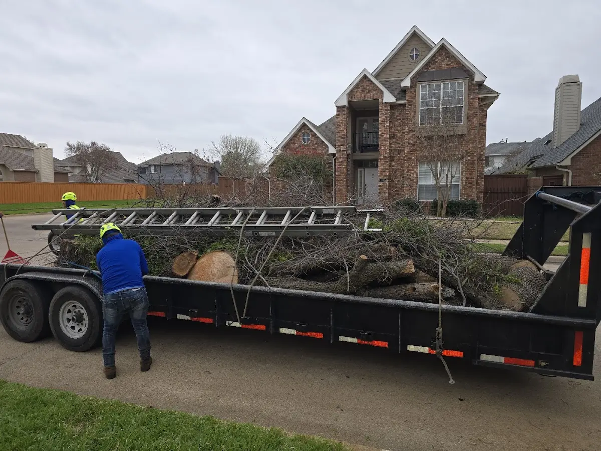 Expert Lot Clearing with proper safety equipment in Woodville